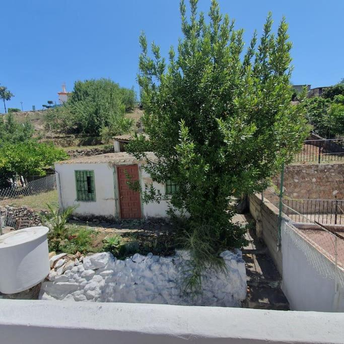 Casa Haarlemena Villa Monda Luaran gambar
